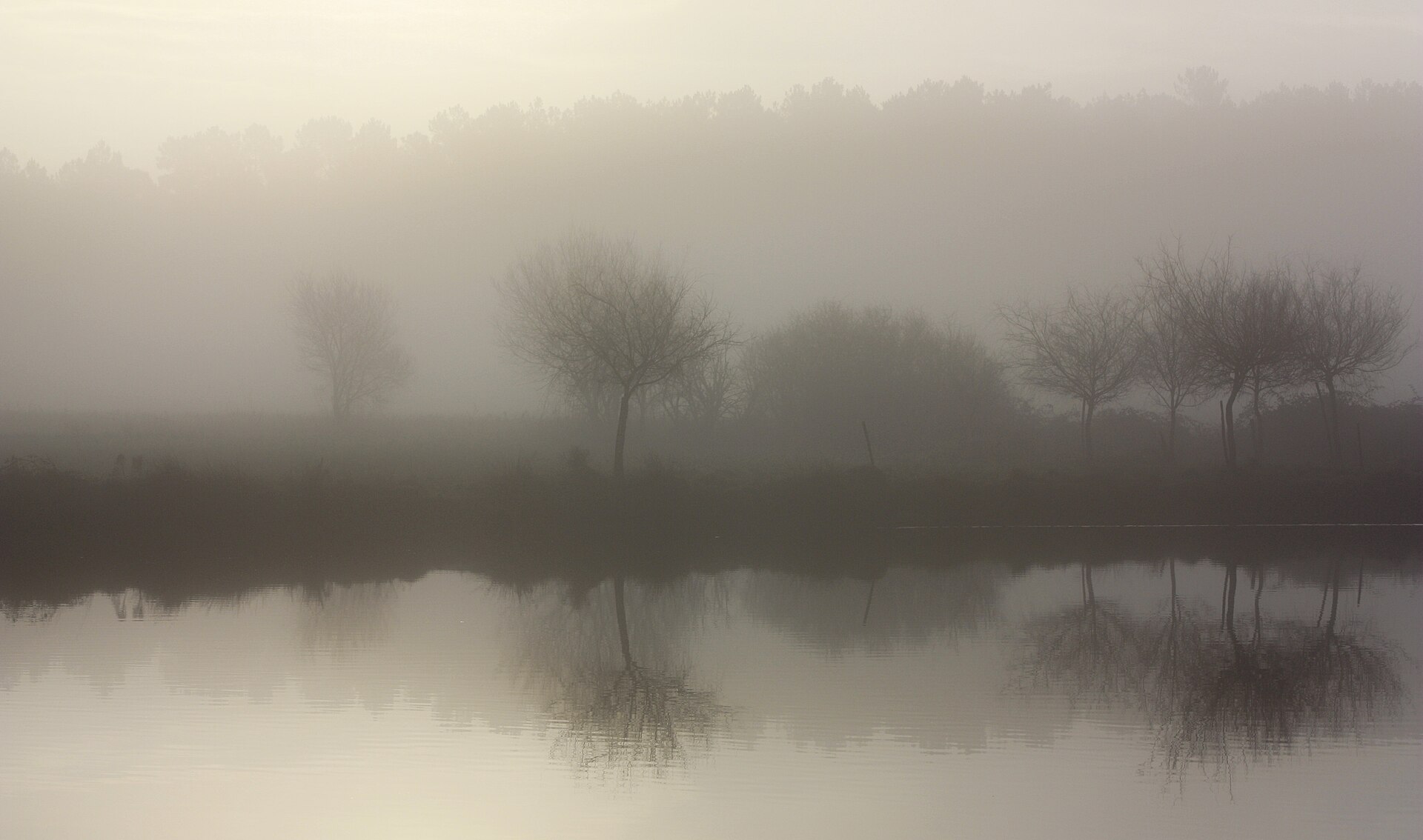 Étang des Hautes-Pyrénées dans la brume au petit matin